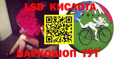 тгк Новодвинск