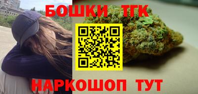 тгк Новодвинск