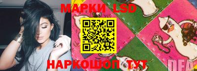 тгк Новодвинск