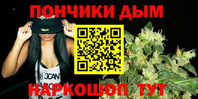 тгк Новодвинск