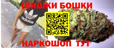 тгк Новодвинск