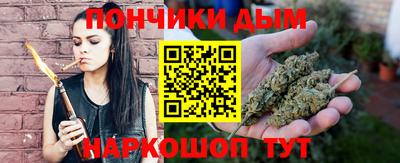 тгк Новодвинск