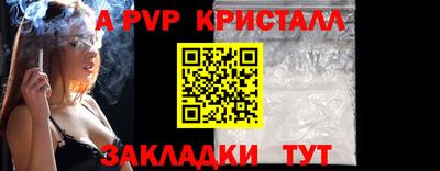 тгк Новодвинск