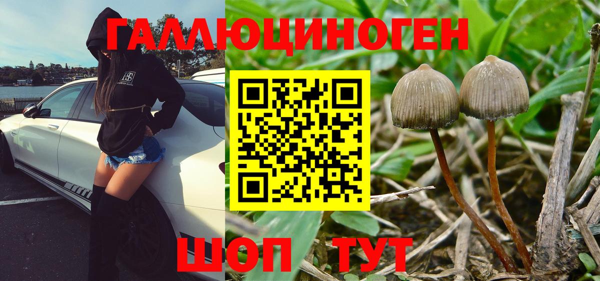 Родники  Псилоцибиновые грибы Magic Shrooms  Вход с VPN 