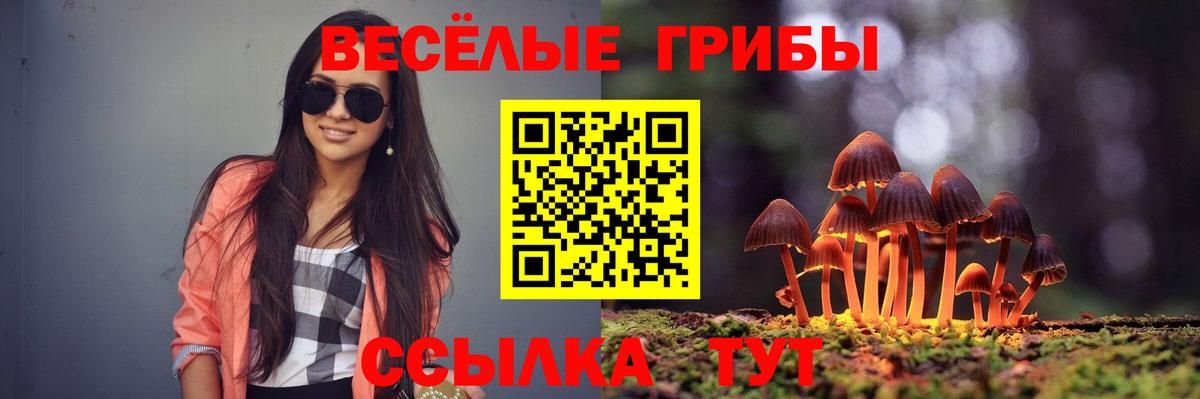 МЕФ Родники
